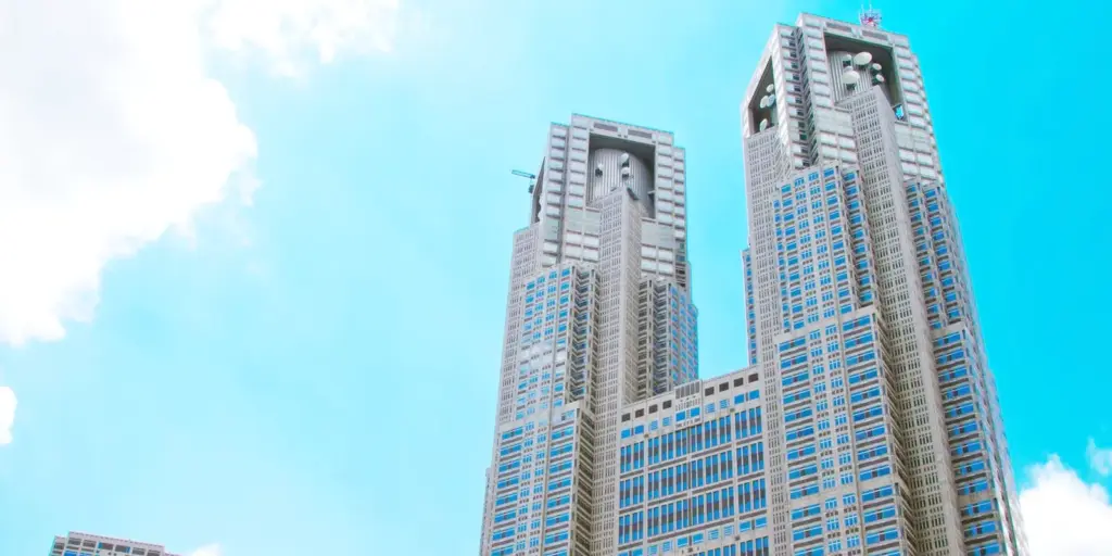 inmage2 - 東京都の補助金制度を活用した太陽光・蓄電池・V2H設置サポート|ソルト公式 東京都の地域性と、設置が難しくなりやすいポイント