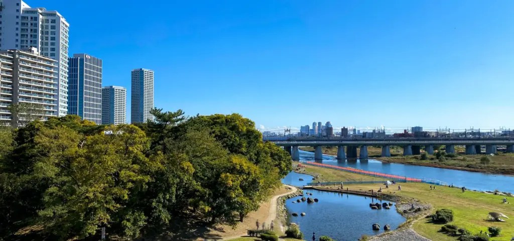 25414334_m - 東京都の補助金制度を活用した太陽光・蓄電池・V2H設置サポート|ソルト公式 世田谷区の住宅事情と太陽光・蓄電池・V2Hの相性