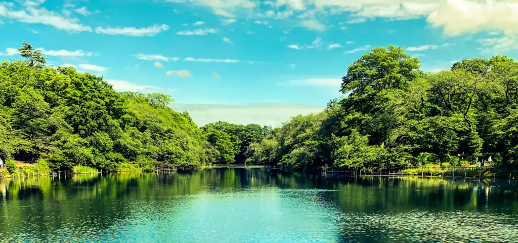 三鷹市と東京都の補助金の考え方