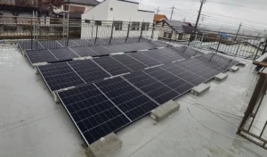 Rows of dark solar panels installed on a flat rooftop with a metal railing and houses in the background.